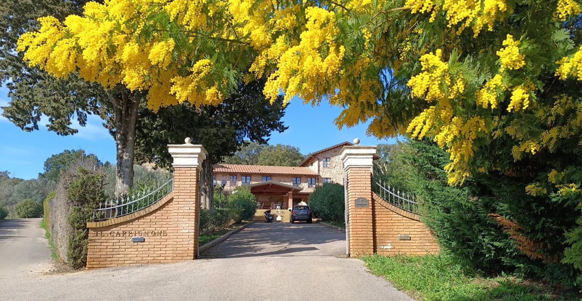 Agriturismo Capricorni Massa Marittima Exterior photo